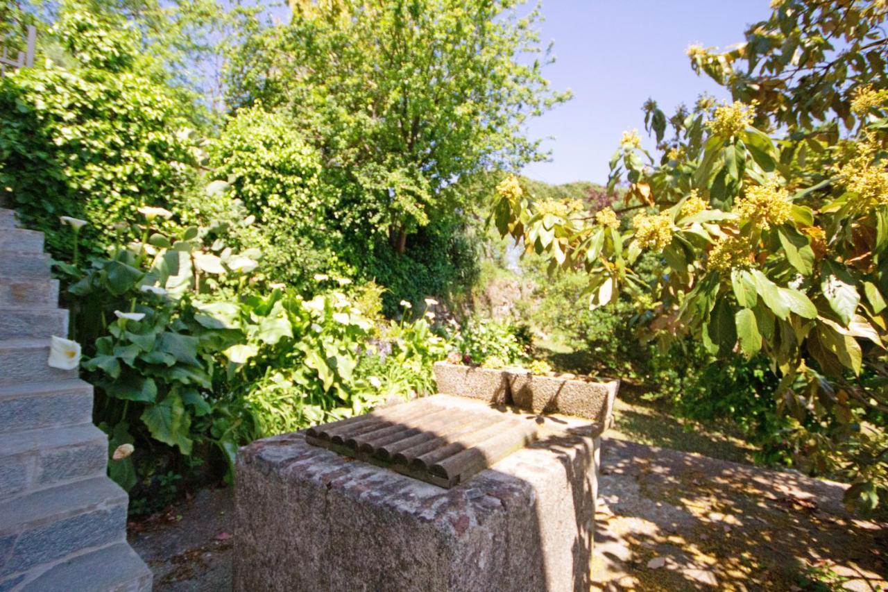 Fattorialmare Blu Apartment Camogli Exterior photo